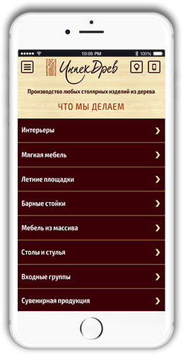 https://web4site63.ru/wp-content/uploads/2018/06/roject-mobile-img-259x501.png
